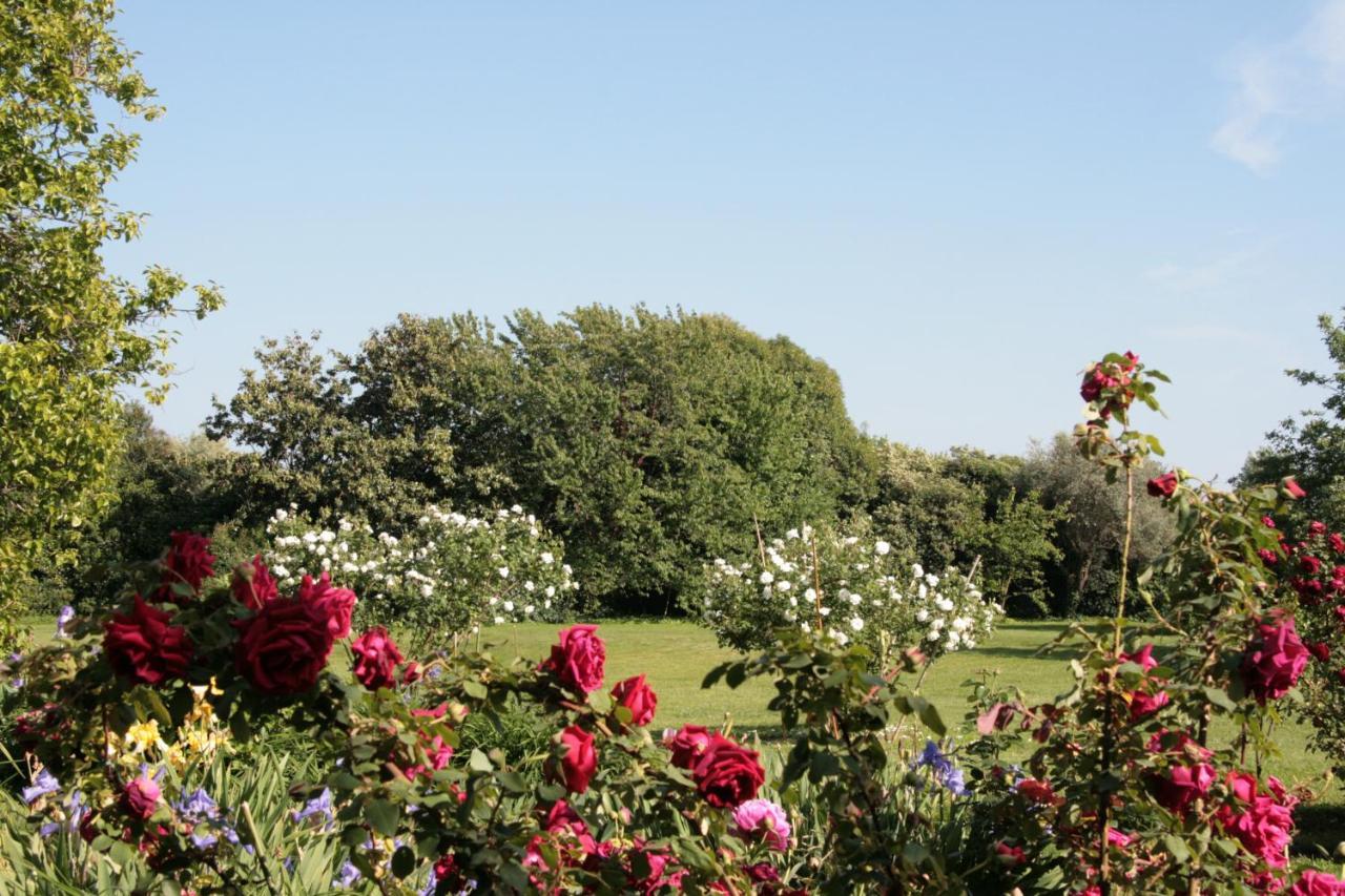Pietrasanta - Versilia - Villa Arzilla Garden Con Piscina Tonfano Eksteriør bilde