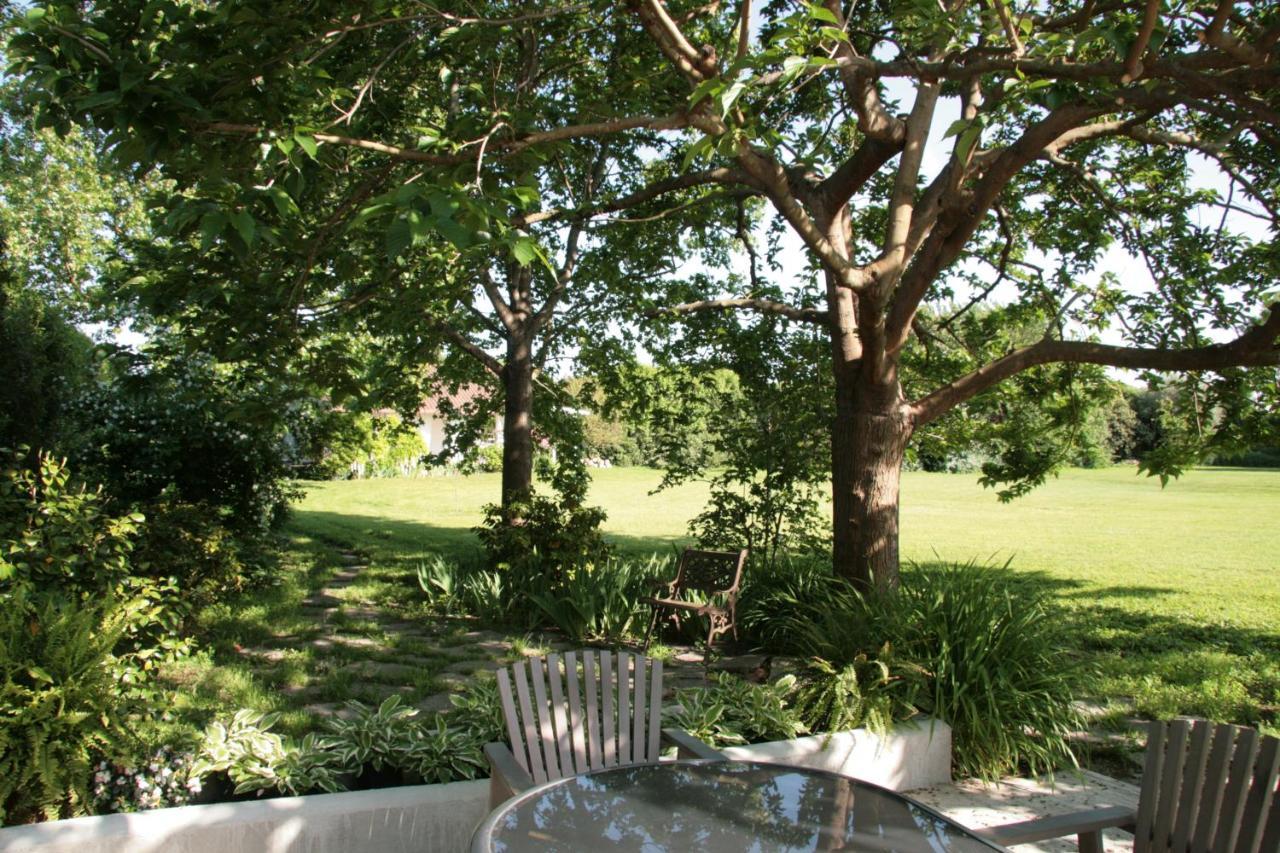 Pietrasanta - Versilia - Villa Arzilla Garden Con Piscina Tonfano Eksteriør bilde