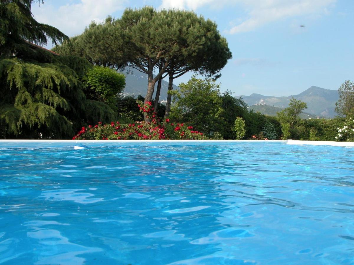 Pietrasanta - Versilia - Villa Arzilla Garden Con Piscina Tonfano Eksteriør bilde