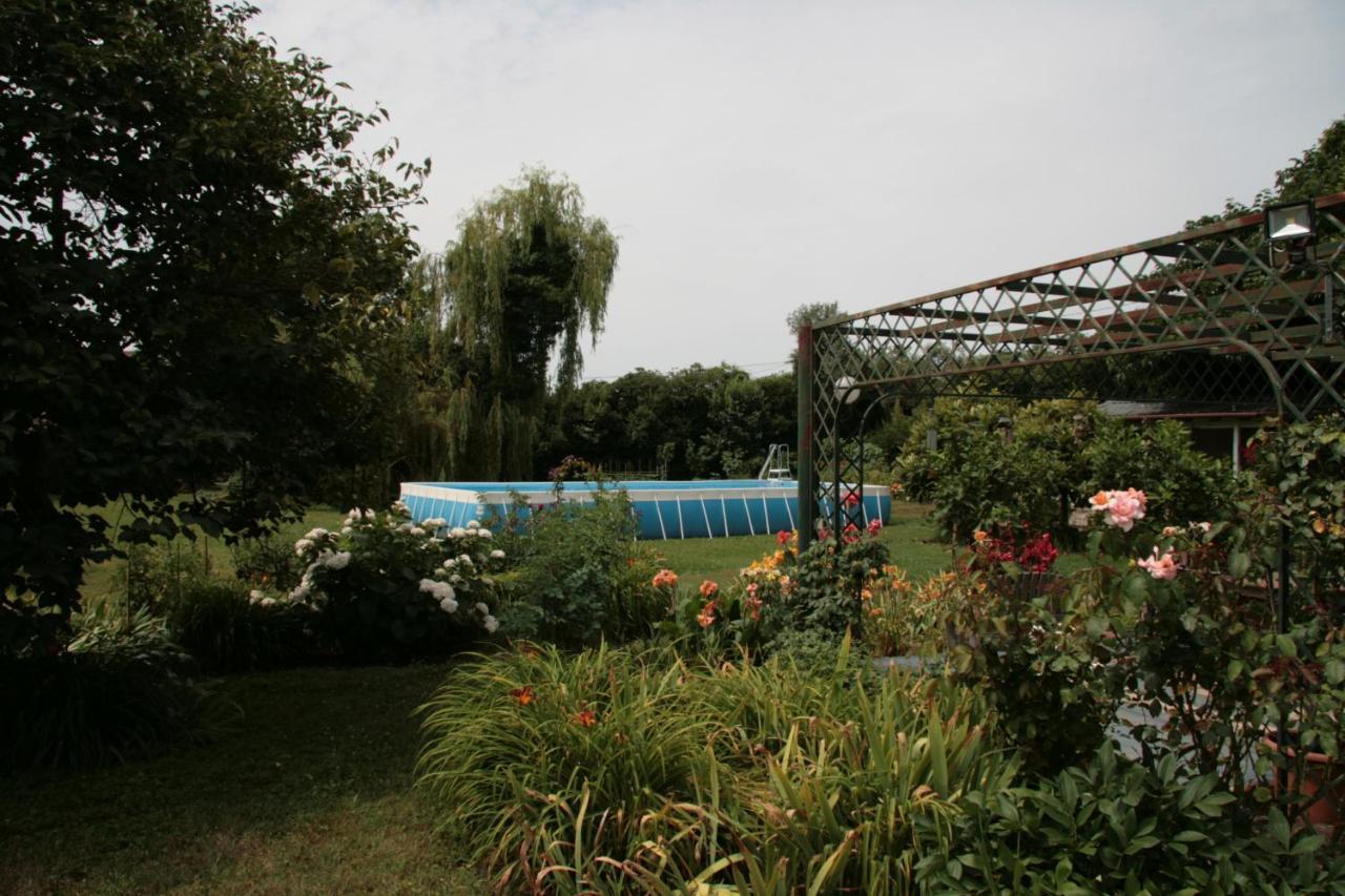 Pietrasanta - Versilia - Villa Arzilla Garden Con Piscina Tonfano Eksteriør bilde