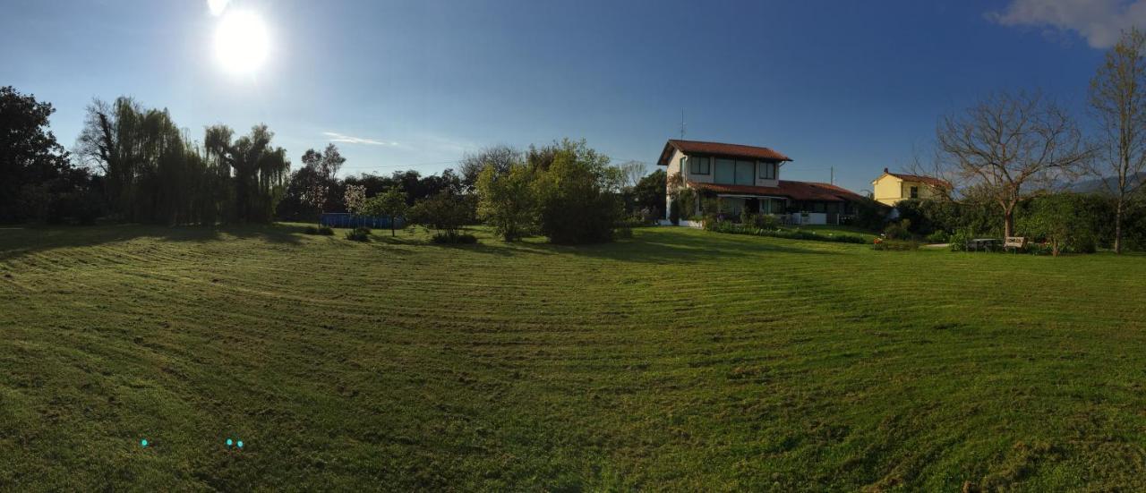Pietrasanta - Versilia - Villa Arzilla Garden Con Piscina Tonfano Eksteriør bilde