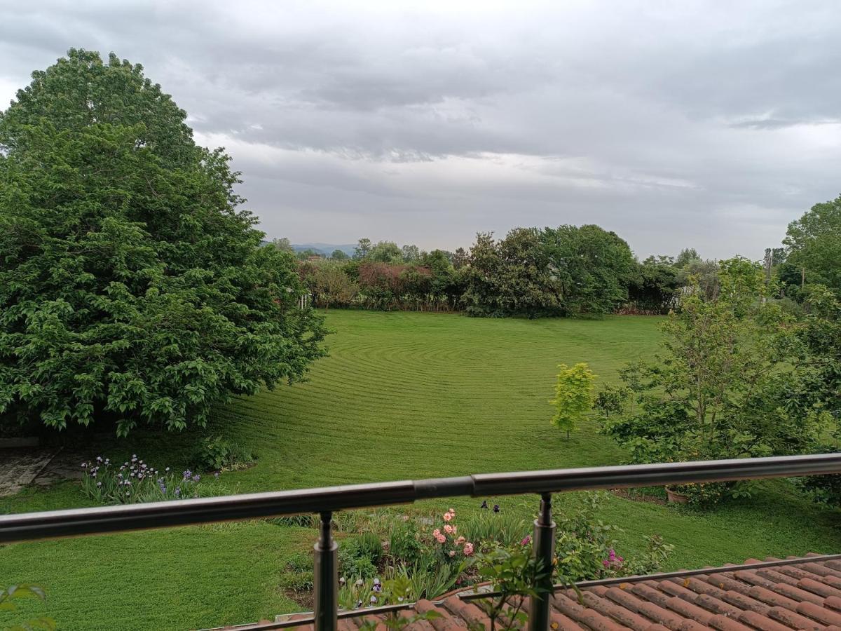 Pietrasanta - Versilia - Villa Arzilla Garden Con Piscina Tonfano Eksteriør bilde